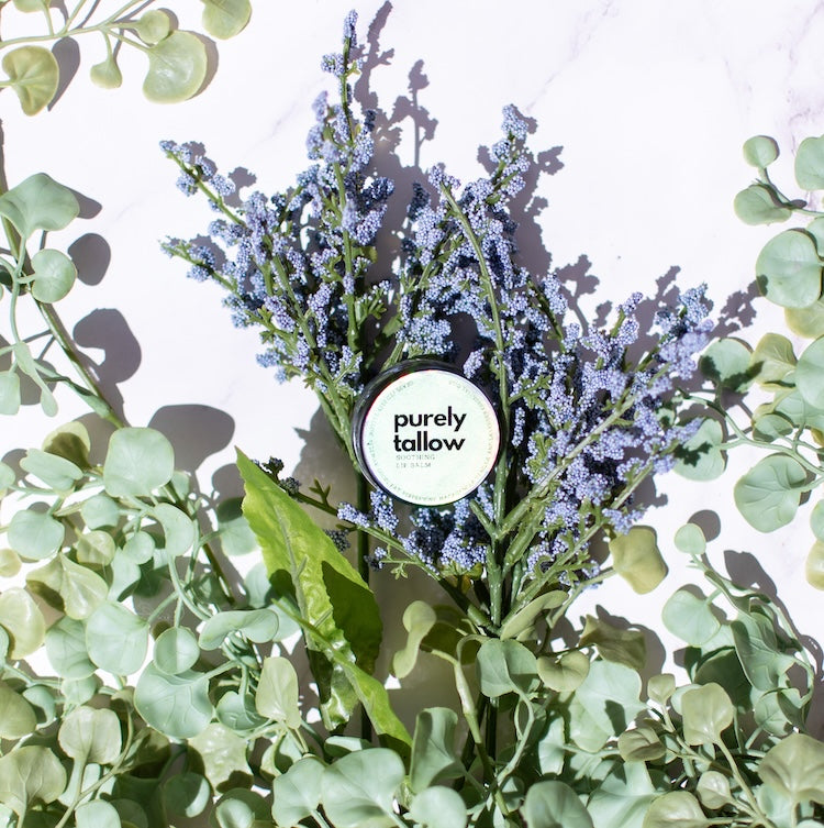 Tallow Lip Balm on Lavender